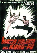 Locandina Il braccio violento del kung-fu