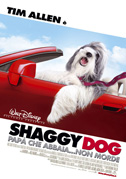 Locandina Shaggy dog - PapÃ  che abbaia... non morde