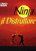 Locandina Ninja il distruttore