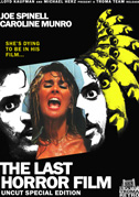 Locandina The last horror film