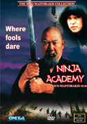 Locandina Ninja academy