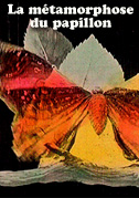 Locandina La mÃ©tamorphose du papillon