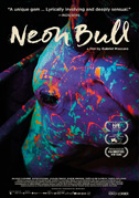 Locandina Neon bull