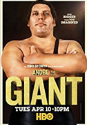 Locandina Andre the giant