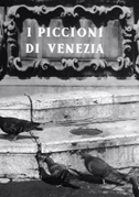 Locandina I piccioni di Venezia