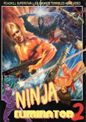 Locandina Ninja eliminator 2: Quest of the magic ninja crystal