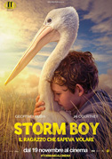 Locandina Storm boy - Il ragazzo che sapeva volare