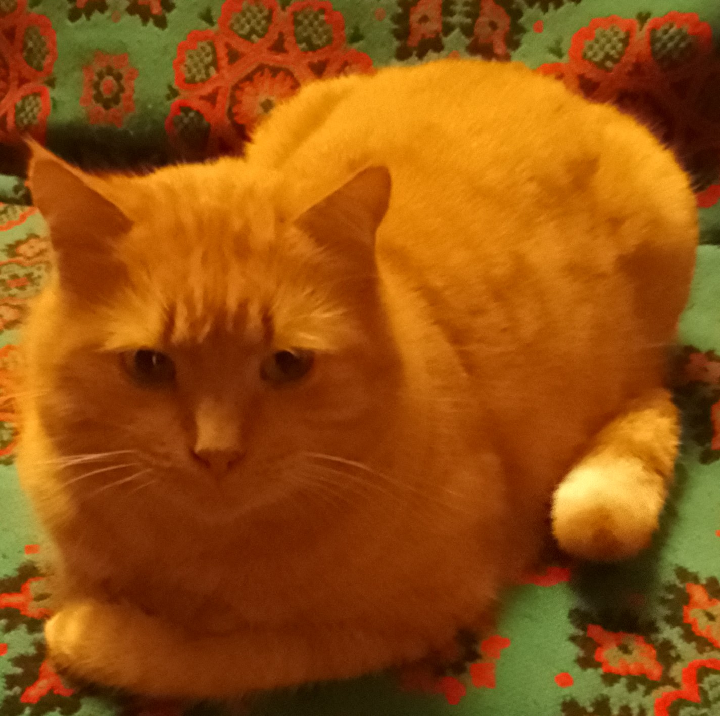 Kami