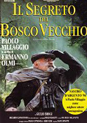 Locandina Il segreto del bosco vecchio