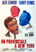 Un provinciale a New York