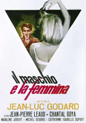 Locandina Il maschio e la femmina