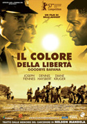 Locandina Il colore della libertÃ 