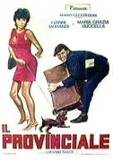 Il provinciale