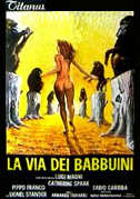 La via dei babbuini
