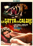 La gatta in calore