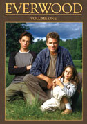 Locandina Everwood - Serie TV (2002)