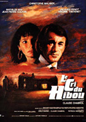 Il grido del gufo