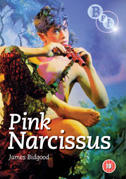 Locandina Pink Narcissus