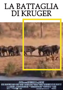 Locandina La battaglia di Kruger