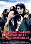Cresceranno i carciofi a Mimongo