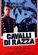 Locandina Cavalli di razza