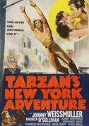 Locandina Tarzan a New York