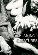 Locandina Flaming creatures