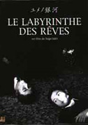 Labyrinth of dreams