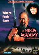 Ninja academy