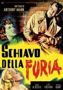 Schiavo della furia