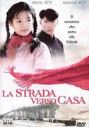 La strada verso casa