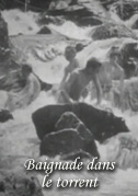 Baignade dans le torrent