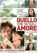Quello che so sull'amore