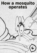 Locandina How a mosquito operates