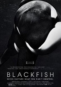 Locandina Blackfish