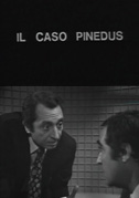 Locandina Il caso Pinedus