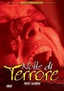 Locandina Notte di terrore