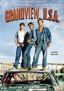 Locandina Grandview, U.S.A