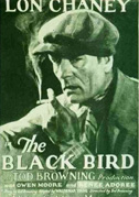 The blackbird