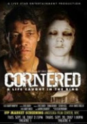 Locandina Cornered: A life caught in the ring