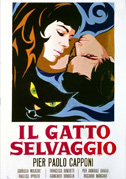 Il gatto selvaggio