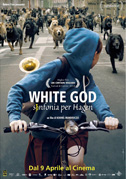 Locandina White God: Sinfonia per Hagen