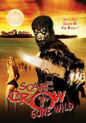 Locandina Il ritorno di Scarecrow