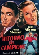 Ritorno del campione