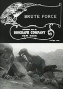 Brute force