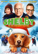 Locandina Shelby - Il cane che salvÃ² il Natale