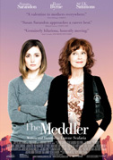 Locandina The meddler