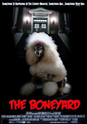 The boneyard