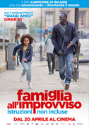 Locandina Famiglia all'improvviso - Istruzioni non incluse