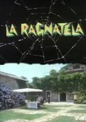 Locandina La ragnatela